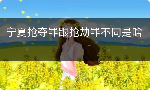 宁夏抢夺罪跟抢劫罪不同是啥