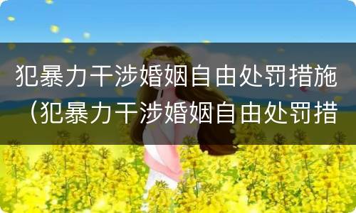犯暴力干涉婚姻自由处罚措施（犯暴力干涉婚姻自由处罚措施有哪些）