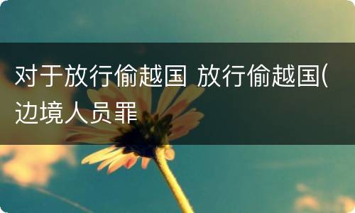 对于放行偷越国 放行偷越国(边境人员罪