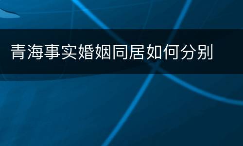 青海事实婚姻同居如何分别