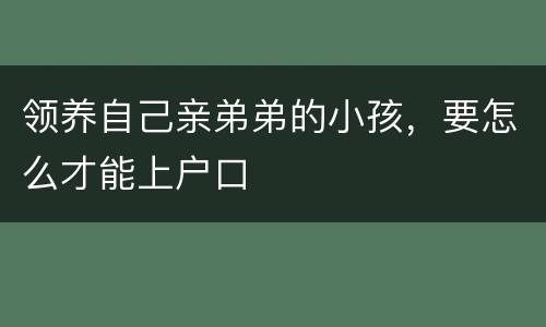 领养自己亲弟弟的小孩，要怎么才能上户口