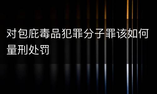 对包庇毒品犯罪分子罪该如何量刑处罚