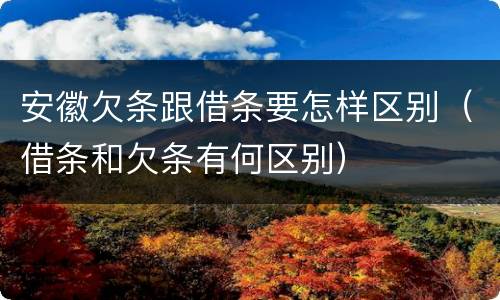 安徽欠条跟借条要怎样区别（借条和欠条有何区别）