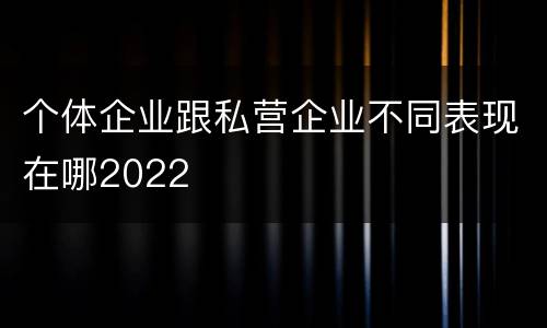 个体企业跟私营企业不同表现在哪2022