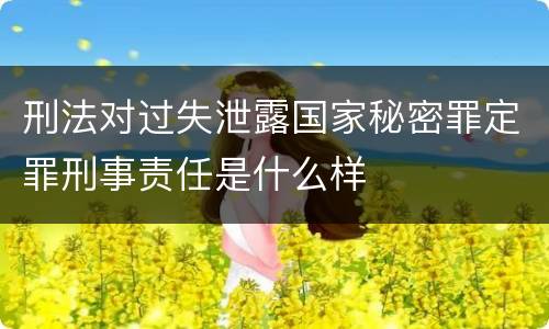 刑法对过失泄露国家秘密罪定罪刑事责任是什么样