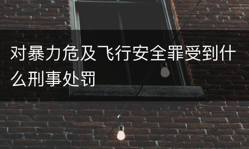 对暴力危及飞行安全罪受到什么刑事处罚