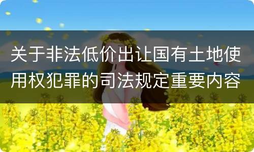 关于非法低价出让国有土地使用权犯罪的司法规定重要内容