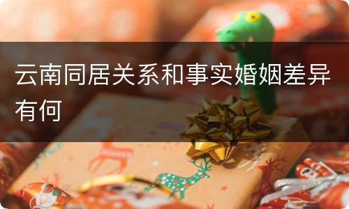 云南同居关系和事实婚姻差异有何