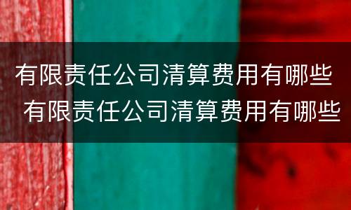 有限责任公司清算费用有哪些 有限责任公司清算费用有哪些科目