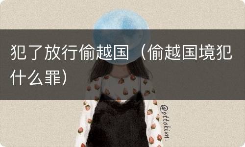 犯了放行偷越国（偷越国境犯什么罪）