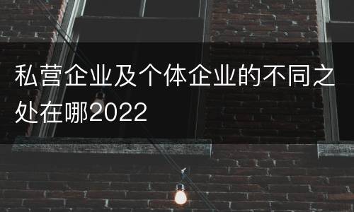 私营企业及个体企业的不同之处在哪2022