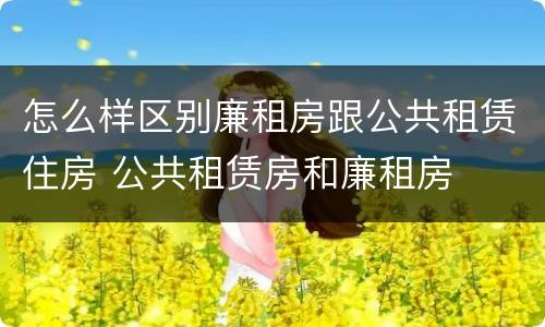 怎么样区别廉租房跟公共租赁住房 公共租赁房和廉租房
