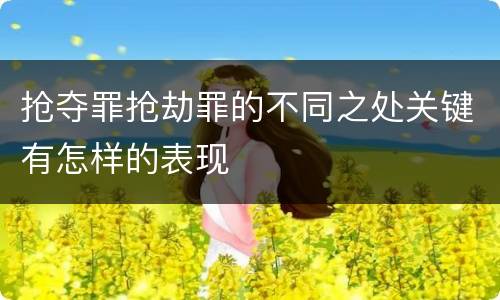 抢夺罪抢劫罪的不同之处关键有怎样的表现