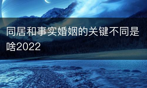同居和事实婚姻的关键不同是啥2022