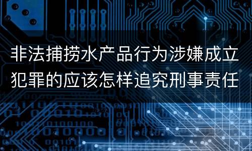 非法捕捞水产品行为涉嫌成立犯罪的应该怎样追究刑事责任