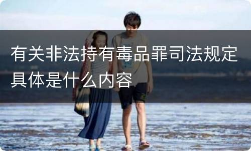 有关非法持有毒品罪司法规定具体是什么内容