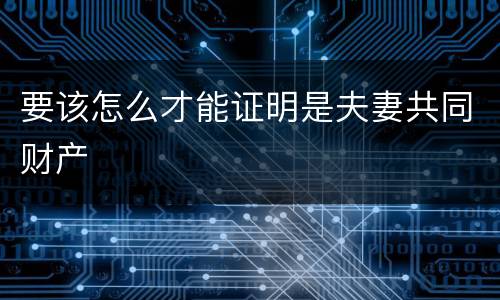要该怎么才能证明是夫妻共同财产
