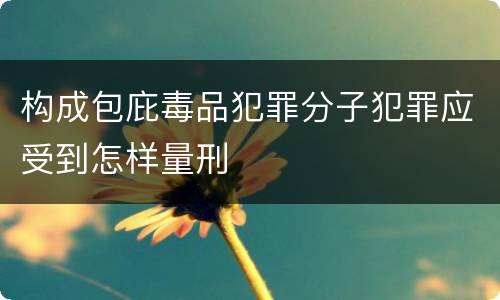 构成包庇毒品犯罪分子犯罪应受到怎样量刑