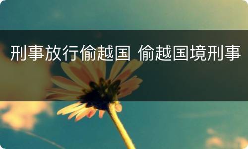 刑事放行偷越国 偷越国境刑事