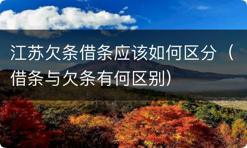 江苏欠条借条应该如何区分（借条与欠条有何区别）