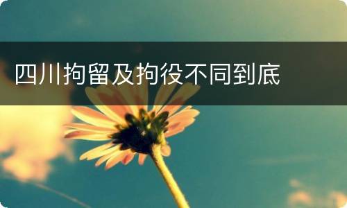 四川拘留及拘役不同到底