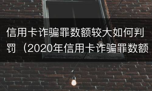 信用卡诈骗罪数额较大如何判罚（2020年信用卡诈骗罪数额标准）