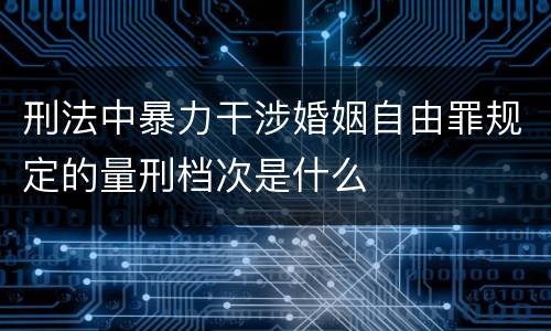 刑法中暴力干涉婚姻自由罪规定的量刑档次是什么