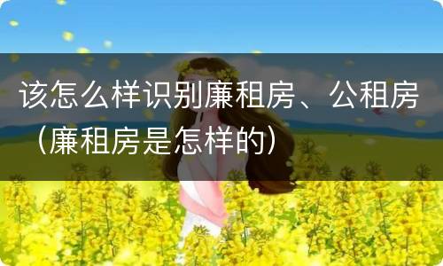 该怎么样识别廉租房、公租房（廉租房是怎样的）