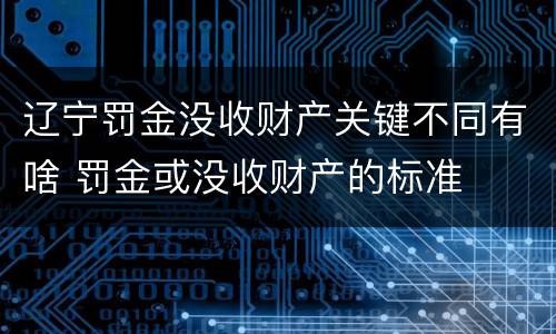 辽宁罚金没收财产关键不同有啥 罚金或没收财产的标准