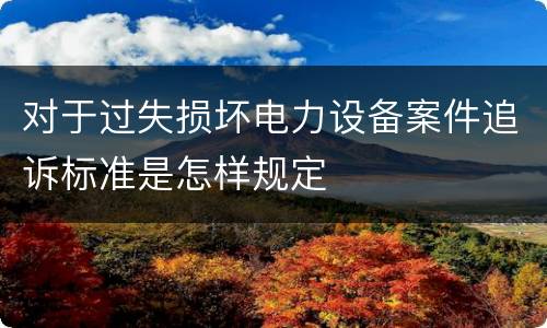 对于过失损坏电力设备案件追诉标准是怎样规定