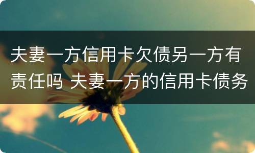 夫妻一方信用卡欠债另一方有责任吗 夫妻一方的信用卡债务需另一方承担吗