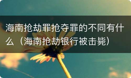 海南抢劫罪抢夺罪的不同有什么（海南抢劫银行被击毙）