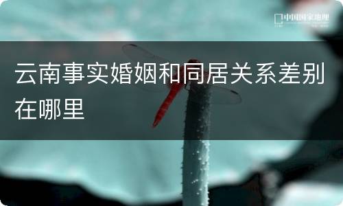 云南事实婚姻和同居关系差别在哪里