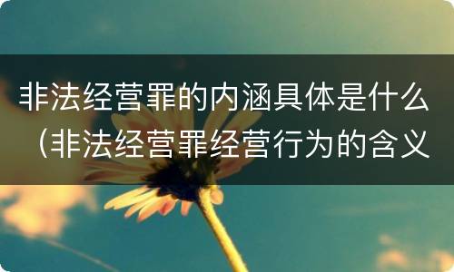非法经营罪的内涵具体是什么（非法经营罪经营行为的含义）