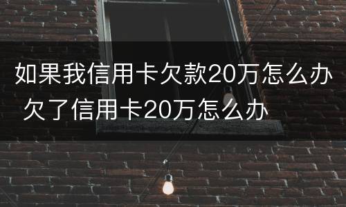 如果我信用卡欠款20万怎么办 欠了信用卡20万怎么办