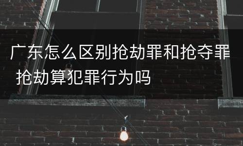 广东怎么区别抢劫罪和抢夺罪 抢劫算犯罪行为吗
