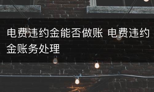 电费违约金能否做账 电费违约金账务处理