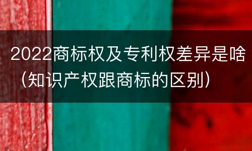 2022商标权及专利权差异是啥（知识产权跟商标的区别）