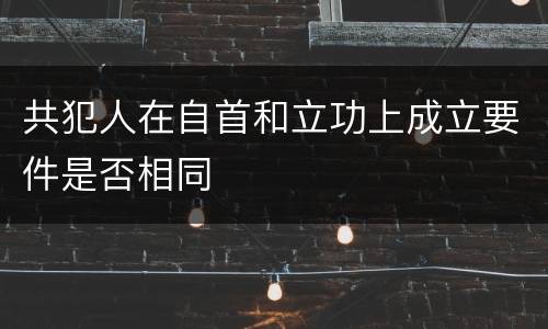 共犯人在自首和立功上成立要件是否相同