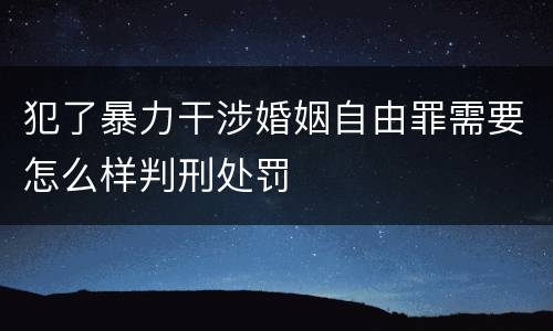 犯了暴力干涉婚姻自由罪需要怎么样判刑处罚