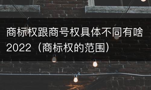商标权跟商号权具体不同有啥2022（商标权的范围）