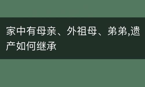 家中有母亲、外祖母、弟弟,遗产如何继承