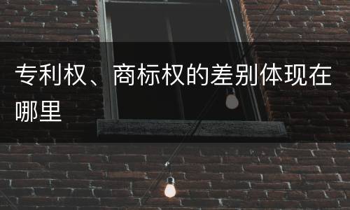 专利权、商标权的差别体现在哪里