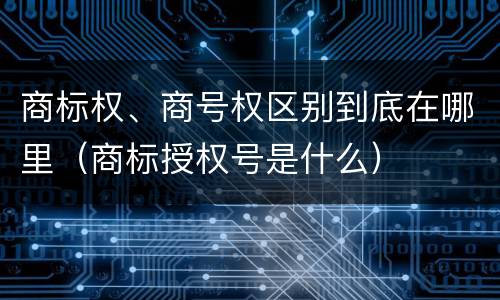 商标权、商号权区别到底在哪里（商标授权号是什么）