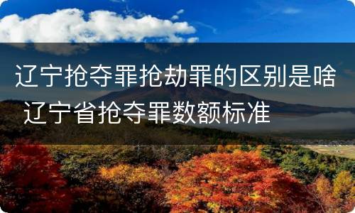 辽宁抢夺罪抢劫罪的区别是啥 辽宁省抢夺罪数额标准
