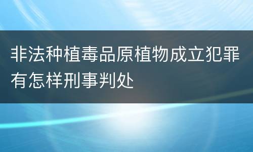 非法种植毒品原植物成立犯罪有怎样刑事判处