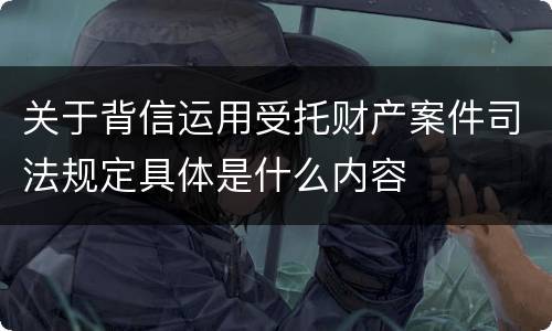 关于背信运用受托财产案件司法规定具体是什么内容