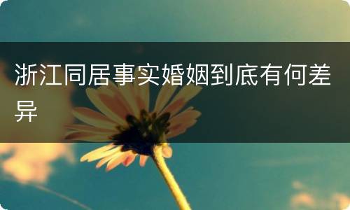 浙江同居事实婚姻到底有何差异