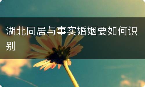 湖北同居与事实婚姻要如何识别