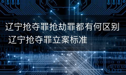 辽宁抢夺罪抢劫罪都有何区别 辽宁抢夺罪立案标准